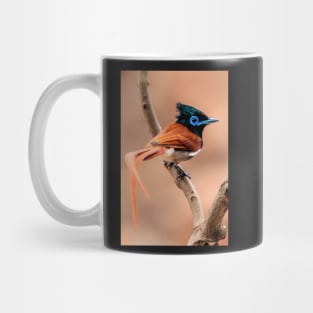 Paradise Flycatcher, South Africa Mug